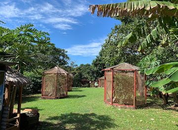 honduras/utila/attraction/iguana-research-breeding-station