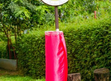 gabon/akanda-national-park/attraction/le-citron-vert