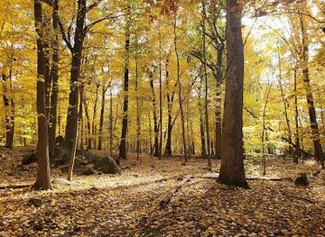 new-york/yonkers/attraction/tenafly-nature-center
