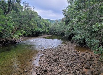 australia/cape-tribulation/attraction/noah-creek-bridge