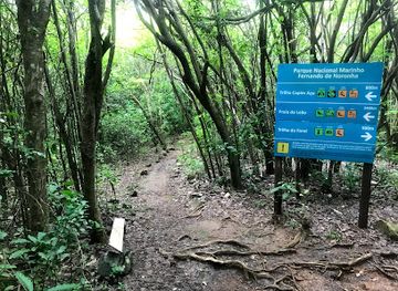 brazil/fernando-de-noronha/attraction/encruzilhada-das-trilhas-do-farol-e-capim-acu