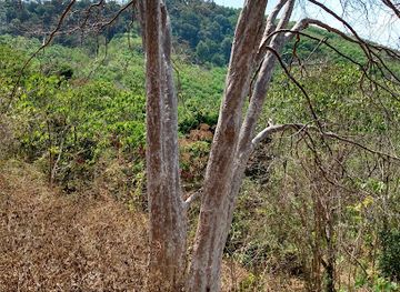 thailand/koh-lanta/attraction/koh-lanta-where-our-land-is