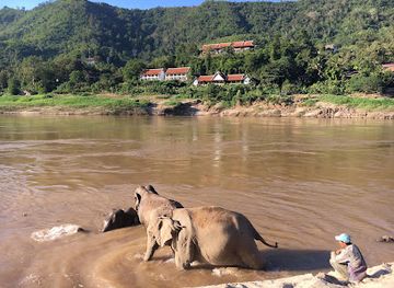 laos/oudomxay-province/attraction/mekong-elephant-park-sanctuary