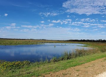 texas/golden-triangle/attraction/cattail-marsh