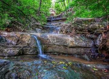 alabama/monte-sano-state-park/attraction/land-trust-of-north-alabama-monte-sano-nature-preserve-cold-springs-trailhead