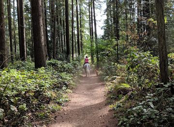 washington/olympic-national-park/attraction/bridle-trails-state-park