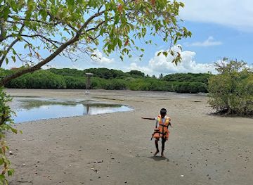 sri-lanka/negombo/attraction/winson-island