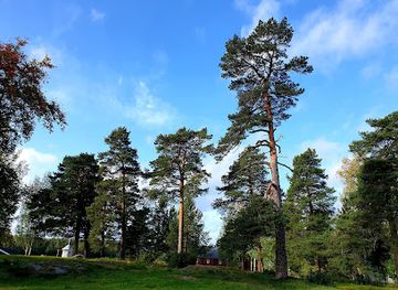 finland/vaasa/attraction/landhojning