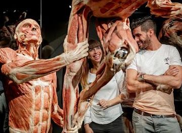 netherlands/amsterdam/attraction/body-worlds-amsterdam
