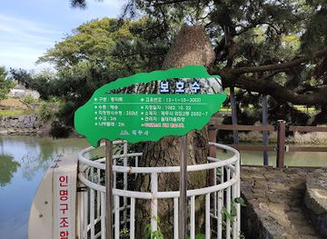 south-korea/jeju-island/attraction/woldaecheon