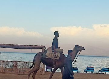 egypt/nuweiba/attraction/tarabin-beach