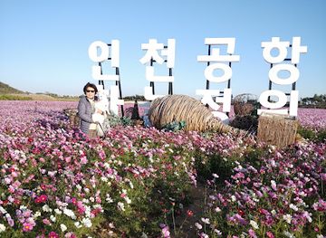 south-korea/incheon/attraction/sky-garden-haneul-jeong-won-incheon-airport