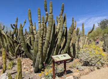 Arizona-Sonora Desert Museum