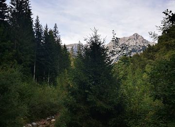 austria/kaiser-mountains/attraction/barfuss-pfad