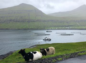 faroe-islands/eysturoy/attraction/rinkusteinar