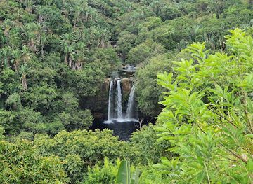 mauritius/black-river-gorges-national-park/attraction/cascade-leon