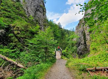 poland/tatra-mountains/attraction/dolina-za-bramka