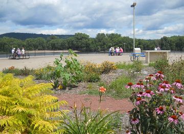 minnesota/red-river-valley/attraction/levee-park