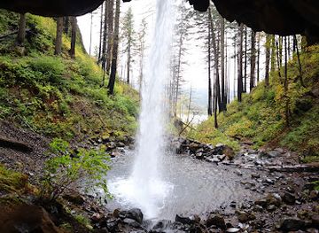 oregon/cascade-mountains/attraction/ponytail-falls