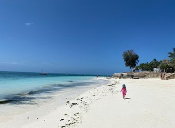 tanzania/zanzibar-city/nungwi/attraction/zanzibar-safari