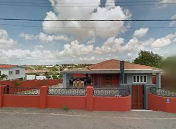 curacao/curacao-ostrich-farm/attraction/curazao