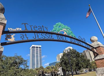 florida/jacksonville/attraction/treaty-oak