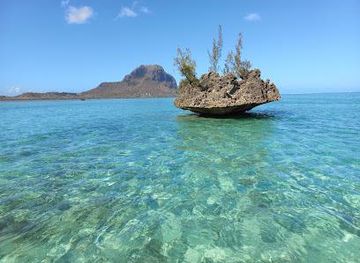 mauritius/mahebourg/attraction/dolphin-warrior-dolphin-and-whale-excursion