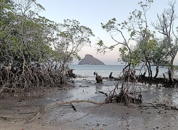 comoros/fomboni/attraction/le-gala-moheli
