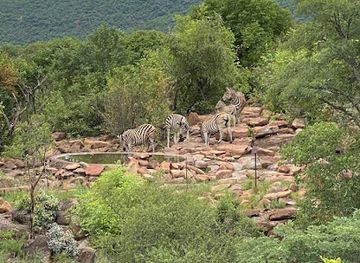 south-africa/waterberg/attraction/welgevonden-game-reserve-main-gate