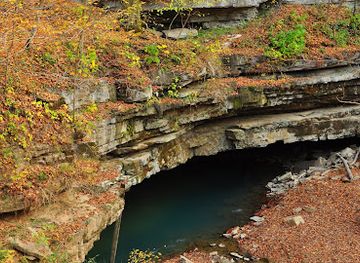 kentucky/mammoth-cave-national-park/attraction/river-styx-spring