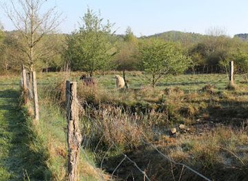 belgium/durbuy/attraction/birds-and-bees
