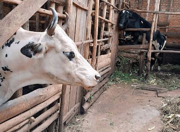 burundi/cibitoke/attraction/sabanerwa-hill