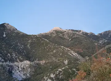 View point
