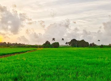 india/alleppey/attraction/chungom-view-point