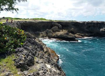 barbados/animal-flower-cave/attraction/north-point