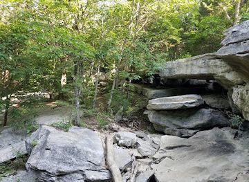 alabama/monte-sano-state-park/attraction/land-trust-of-north-alabama-monte-sano-nature-preserve-oak-park-trailhead