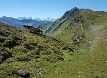 austria/hohe-tauern/attraction/stemmerkogel