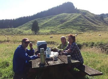 new-zealand/taranaki/attraction/eastern-taranaki-experience