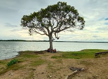 sri-lanka/bundala-national-park/attraction/madawwa-werawila