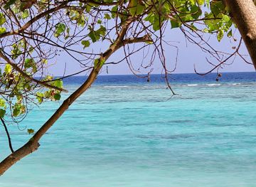 maldives/thoddoo/attraction/thoddoo-sunrise-guest-beach