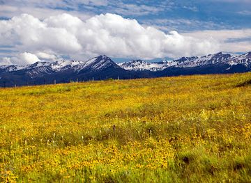 oregon/wallowa-county/attraction/zumwalt-prairie-preserve