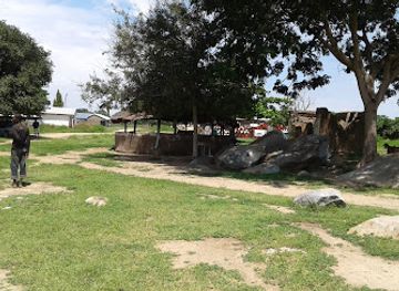 ghana/upper-east-region/attraction/paga-crocodile-park