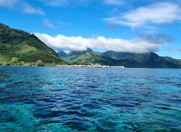 french-polynesia/moorea/attraction/mana-moorea-tours