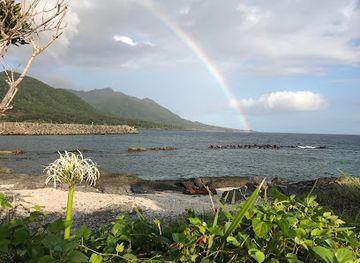 japan/yakushima/attraction/sagoshi-no-hama