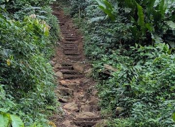 seychelles/victoria/attraction/caribbean-horizons-mcintyre-bros-ltd