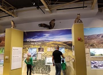 new-mexico/las-cruces/attraction/museum-of-nature-science