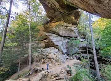 kentucky/red-river-gorge-geological-area/attraction/grays-arch