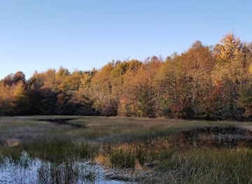 michigan/holland/attraction/fillmore-discovery-park