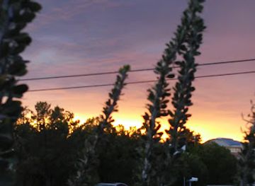 new-mexico/carlsbad/attraction/hall-addition-park