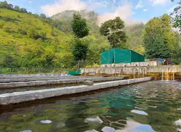 Alpine Aqua Farm